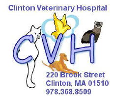 Clinton Veterinary Hospital Logo